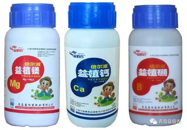 bc07e693a39a489d869fda6fac66a80f.jpeg