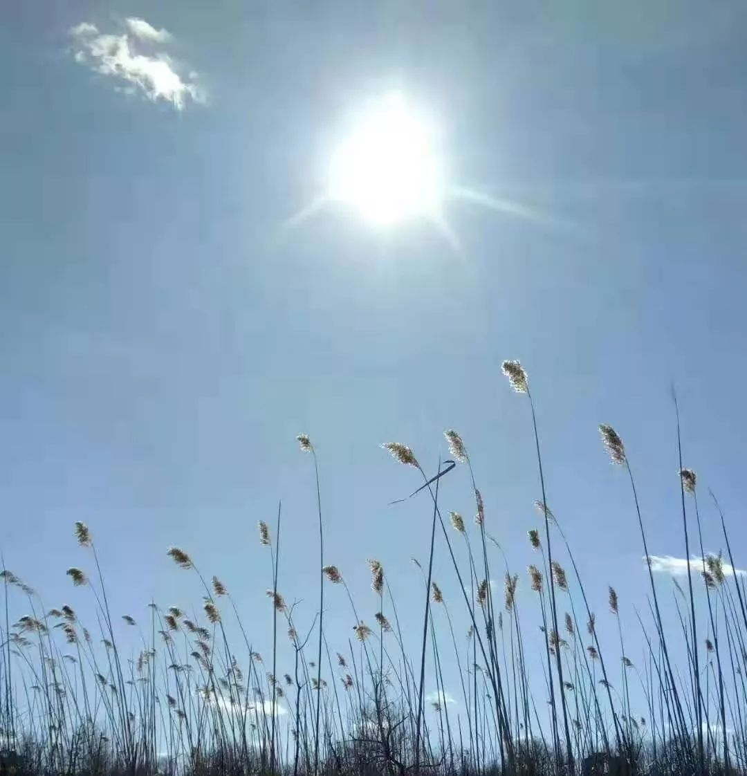 刁永泉【第三十一期】虚白室诗文书法随展