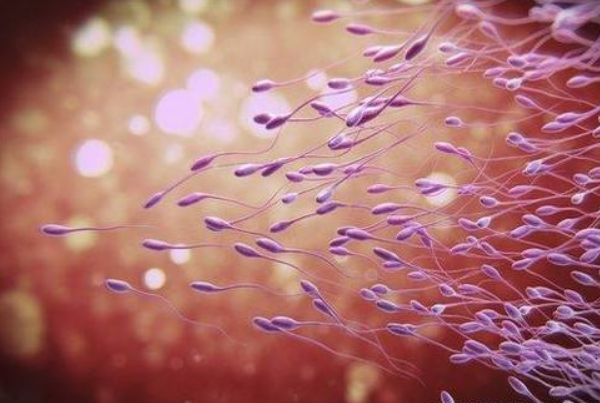 精子可以在女性体内存活多久?