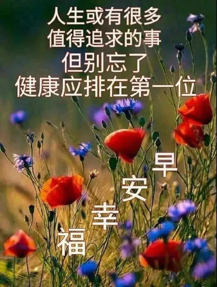 周六最新漂亮早上好动态美图鲜花带字,早晨好幸福暖心的问候表情图片
