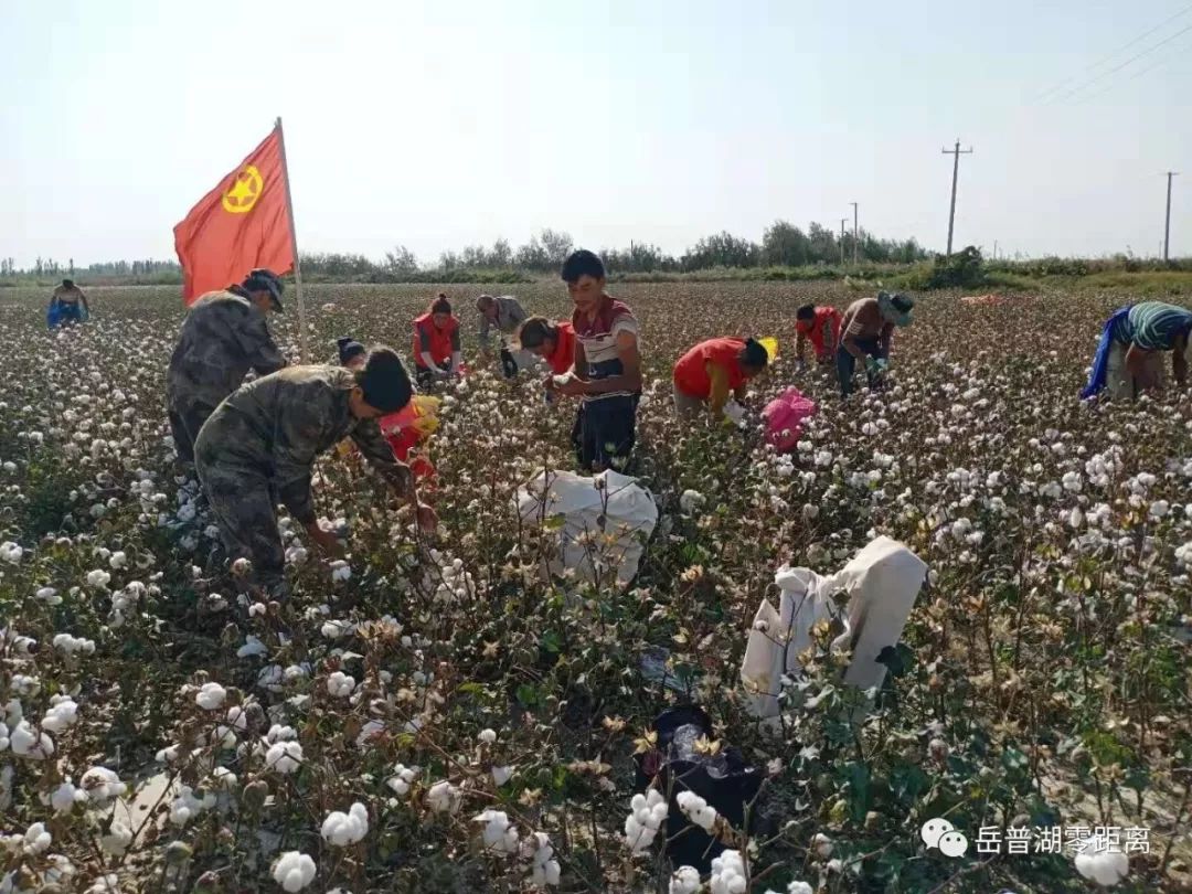 岳普湖县人口_喀什岳普湖县图片