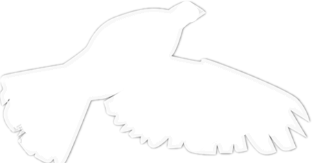 145c38424ea84b1db1783fd7615b3469.png