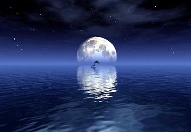 朗诵丨水调歌头 国庆金秋五首