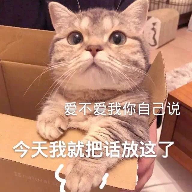 表情包:撒娇专用的猫咪表情包