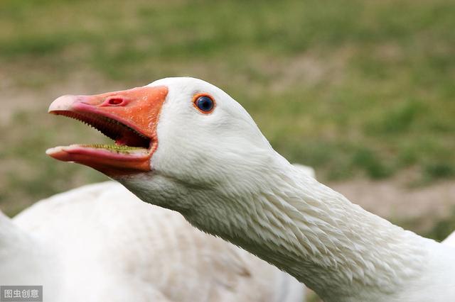 224b6755424b44e8b723b4086b88f815.jpeg