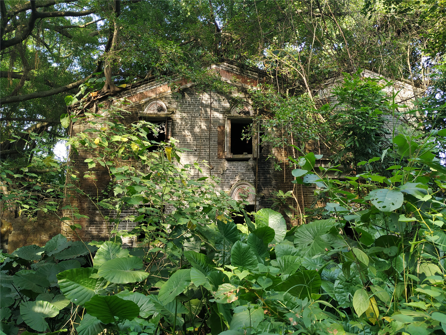 广东最神秘无人村:密林野藤,老屋古宅,残墙破椅