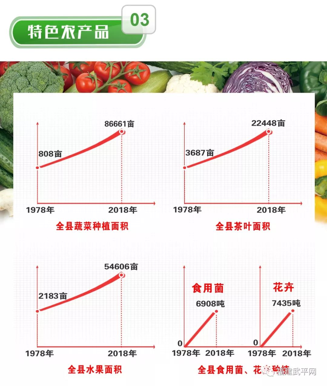 武平县gdp怎么样_武平县女警察图片大全(3)