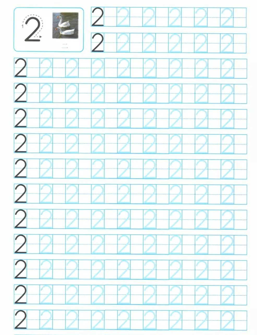 一年级上册数学1-3单元重点知识 单元测试(附数字描红