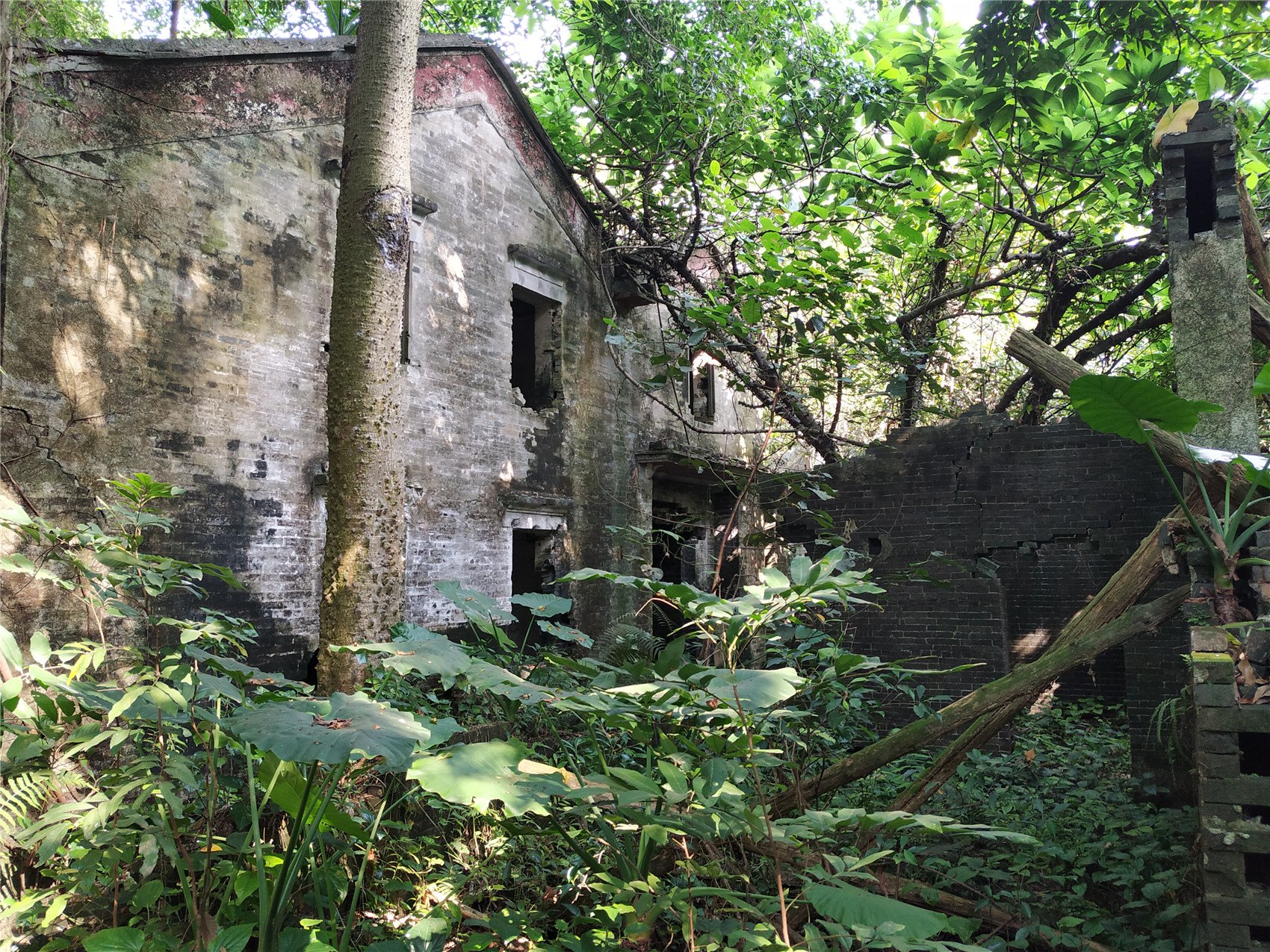 下面和大家探访:广东开平市邓边村.