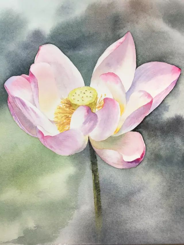 荷花的作者资料 6679ab154a52487aa8620e4af8f62b72.jpeg