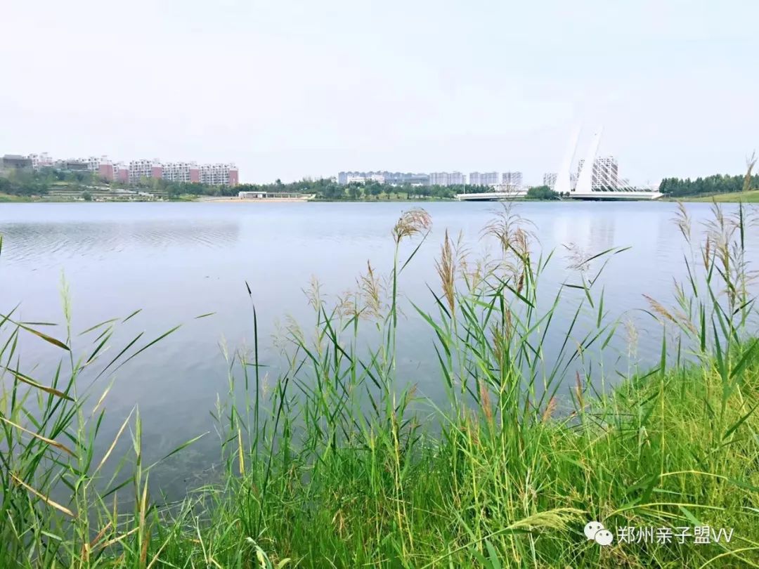 长假没出远门郑州周边这14个湖总有一个值得遛娃