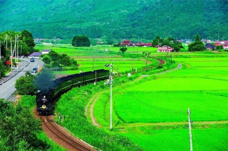 商業觀察｜日本成出境遊第一目的地  日本旅遊IP是如何深度吸引中國年輕人的？ 旅遊 第1張