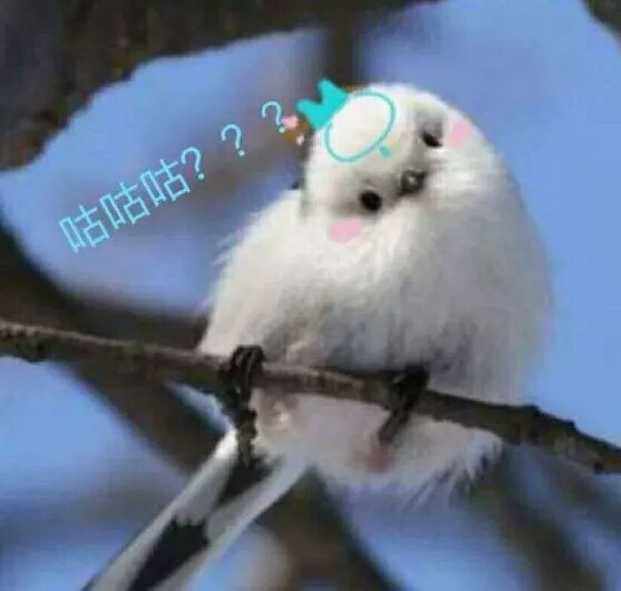 705378a3bac5457f864fd3b9ba8a8147.jpeg