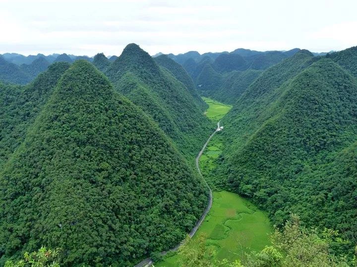 茂兰景区