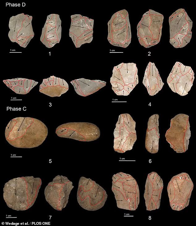 斯里兰卡发现45000年前猎猴石器，是南亚雨林最古老人造工具