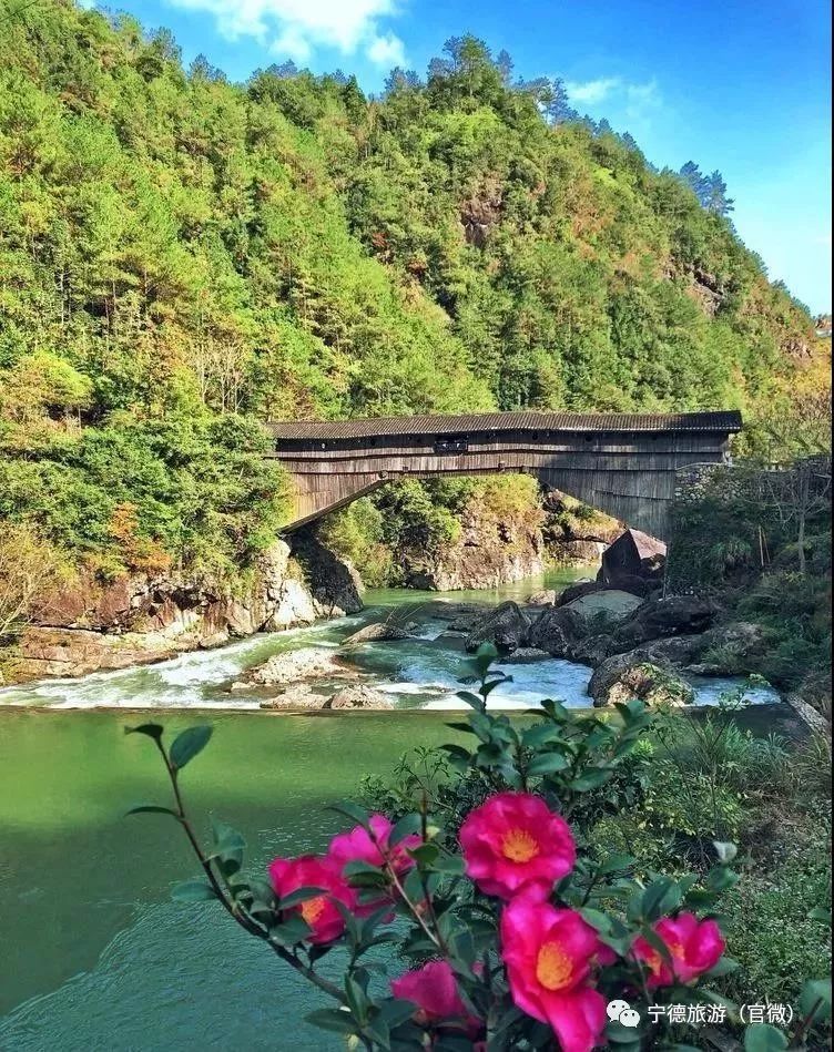 旅游小镇第3站 | 难忘下党,蝶变展新姿_下党乡