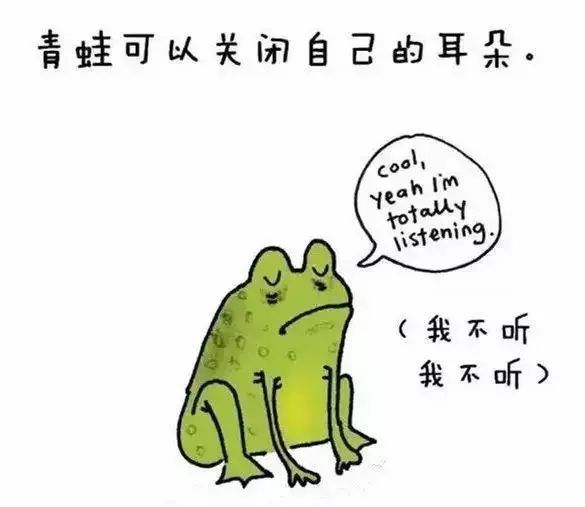 什么动物能打败蚂蚁 9dc74a91f8114f65acaf613a9503f4c3.jpeg