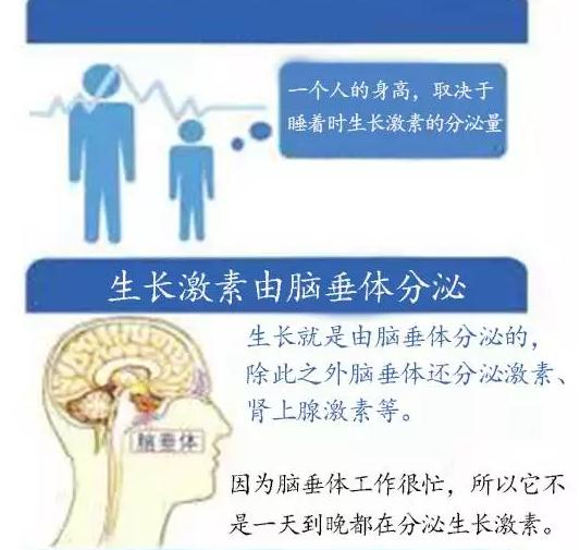 「小皮育儿经」孩子身高受爸妈哪个影响大？想要孩子长高高，千万别入这些误区