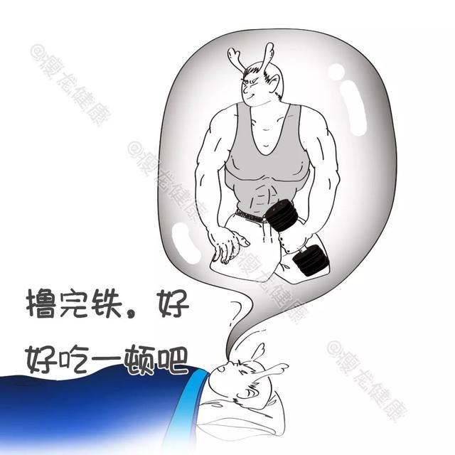 合理减肥的科学原理是什么_什么是合理膳食