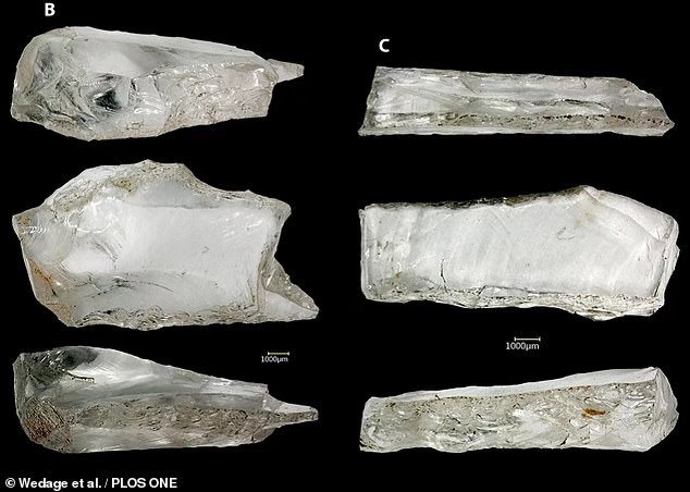 斯里兰卡发现45000年前猎猴石器，是南亚雨林最古老人造工具