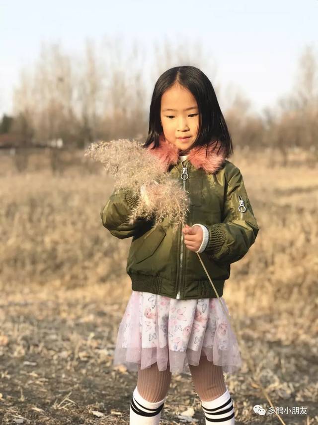b675f2c6777146ec90234441b191e144.jpeg