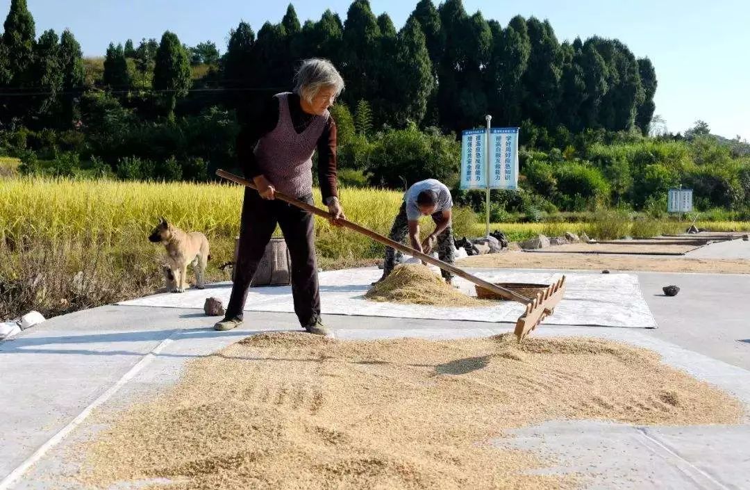 泾县各村人口_泾县查济村