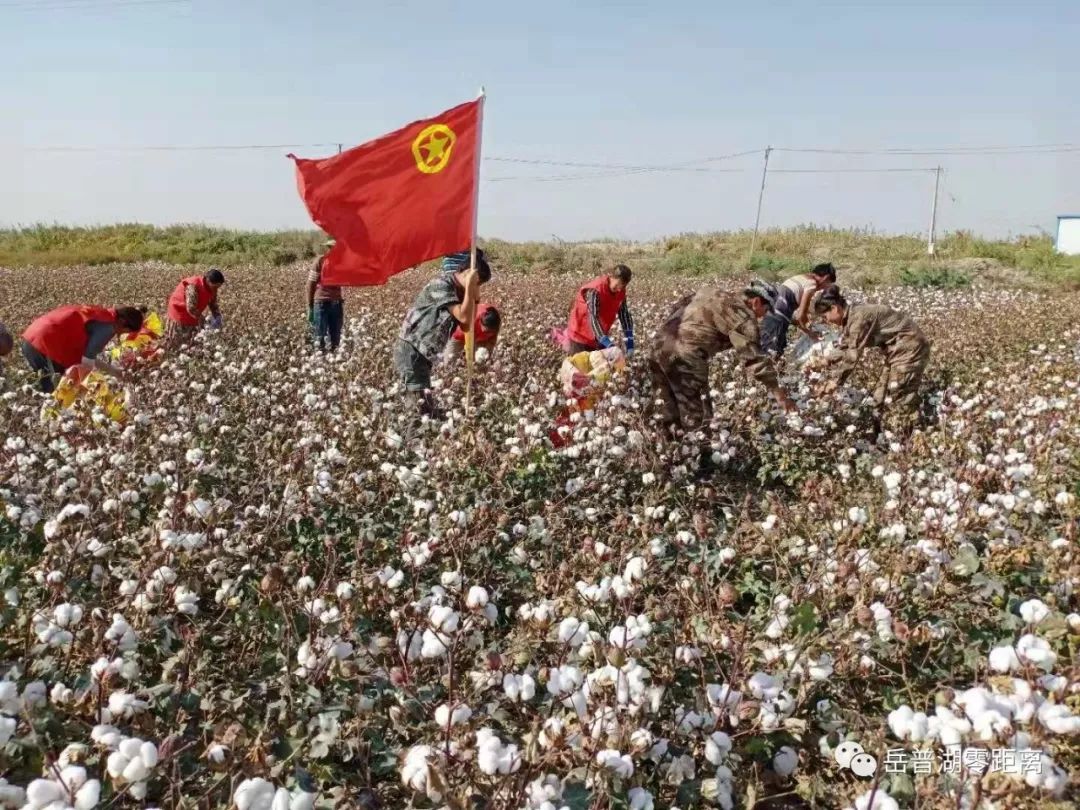 岳普湖县人口_喀什岳普湖县图片