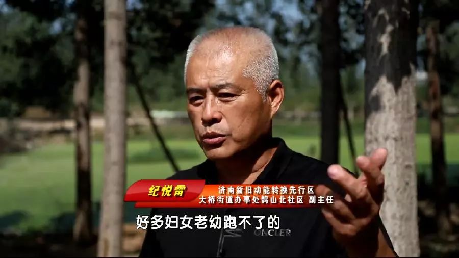 鹊山脚下:不容忘却的历史_王士栋