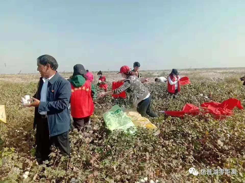 岳普湖县人口_喀什岳普湖县图片