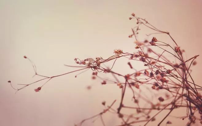 d740ed9d270d4f9e8d2b340a7bb6e153.jpeg