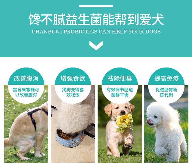 狗狗怎么驱虫才正确 dd52a4f2ab84465db9339083253e787e.jpeg