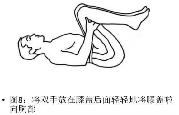 做什么运动可以增强腰部肌肉 e50b8dd78fce40f897dd109cdff2f942.jpeg