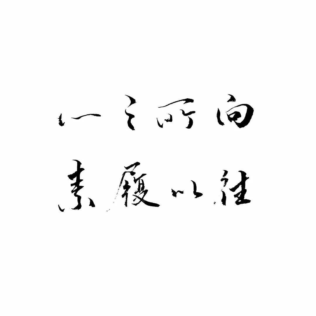 练字作业生如逆旅一苇以航