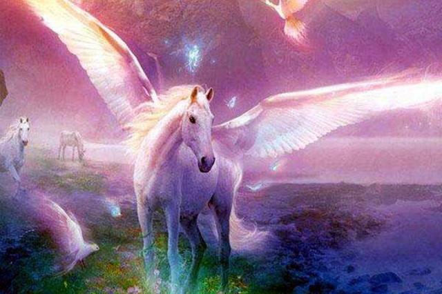 是一种|神兽天马的前世今生：真实的天马是一种长得像狗的怪物？