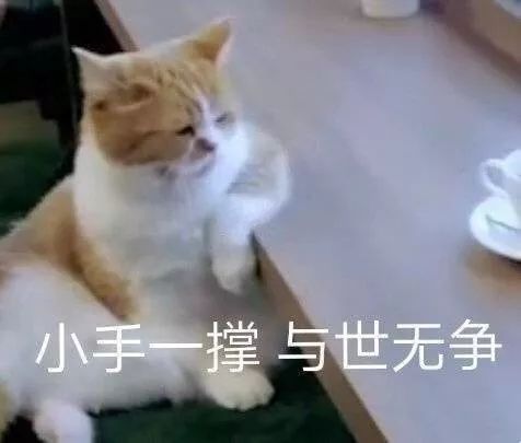 0879cb6723a34fb18a2d1630d2b26480.jpeg