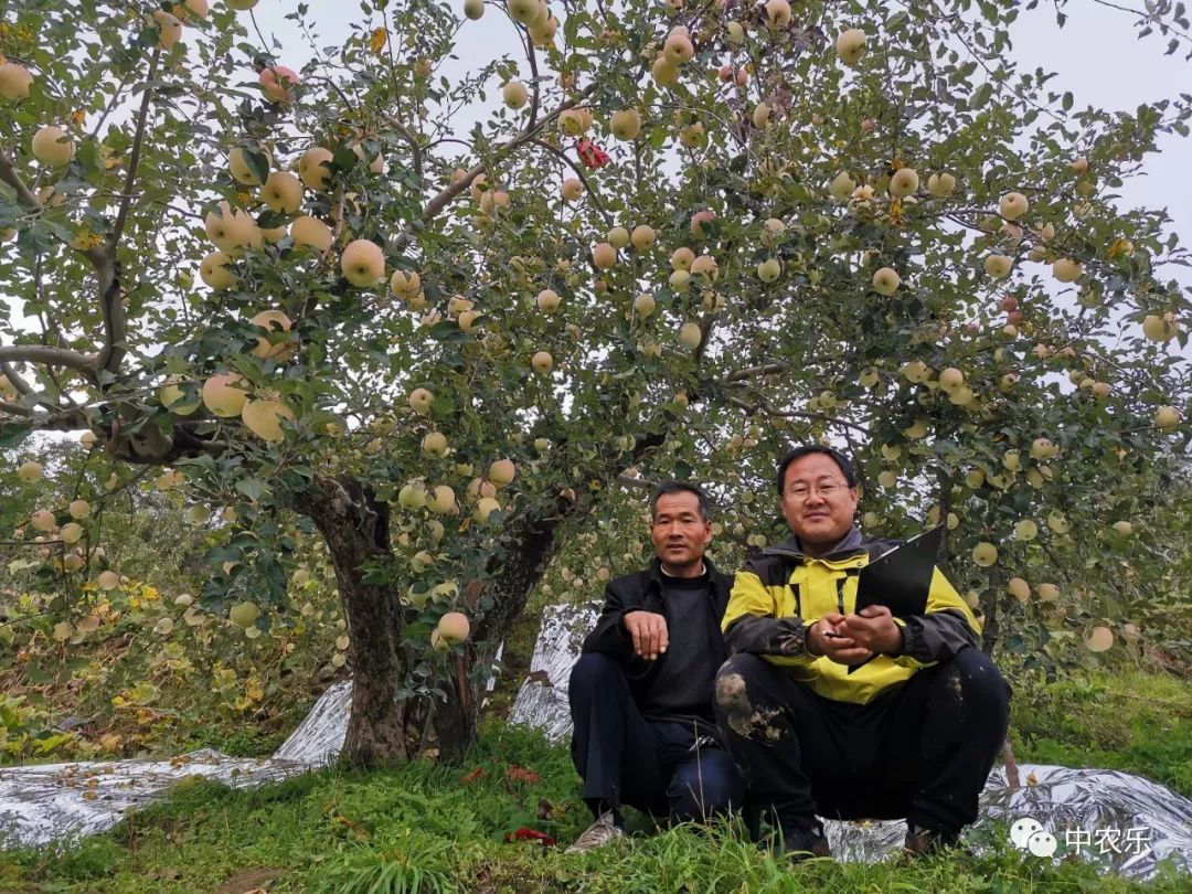 中农乐2019寻找"最美果园"线下评比如火如荼进行中,亮点在哪?快看!