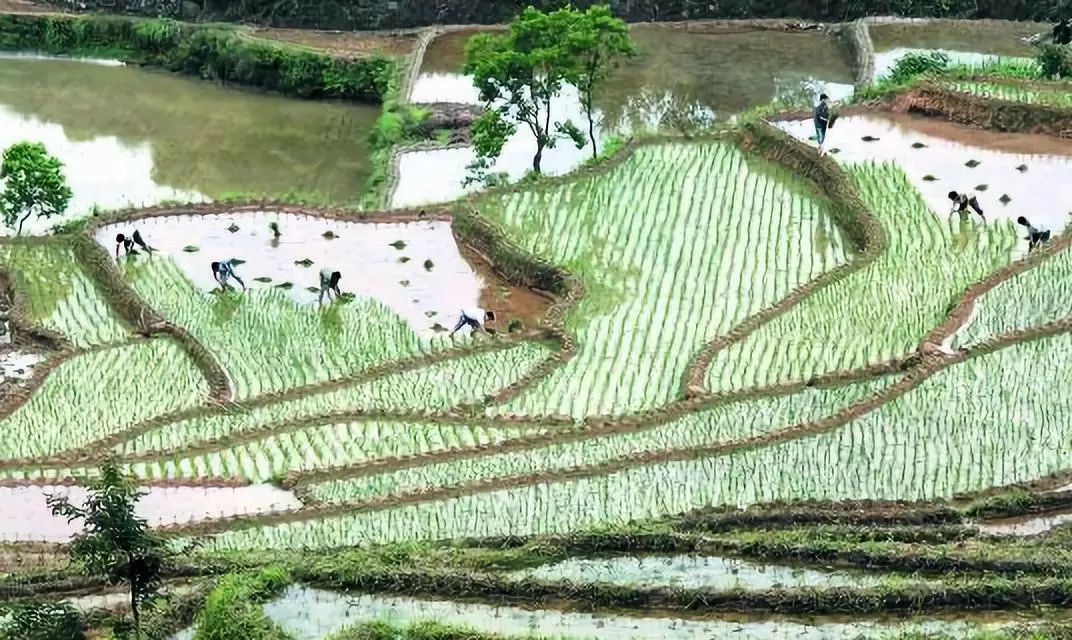 灌阳县有多少人口_灌阳县观音阁乡人口(2)