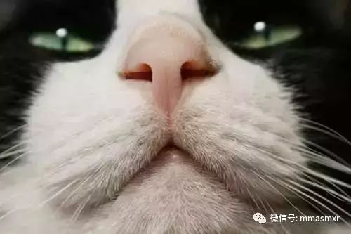 0fbdf873c95a4110a69fe3b883a88172.jpeg