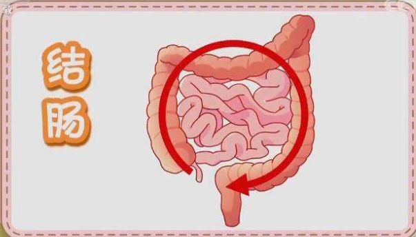 百度图片便秘发生后最常见的缓解运动便是腹部按摩,以促进肠道的蠕动
