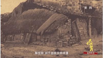 余江有多少人口_最新 贵溪余江月湖究竟有多少人口(2)