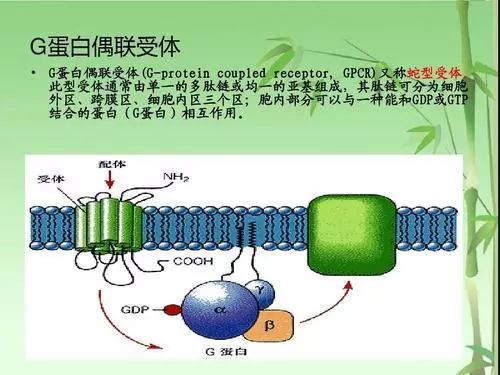 gtp和gdp(3)