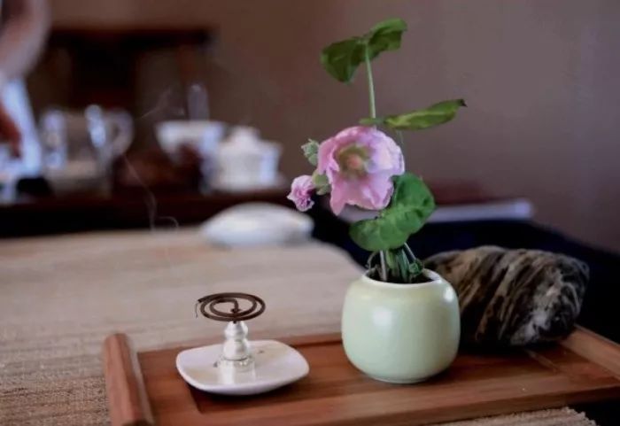 三十而立四十不惑啥意思 3af661e3bdb64709aa6de163e57f6761.jpeg