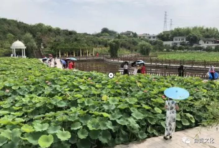 自贡外地人口_自贡灯会