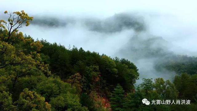 丹 枫 观 光 酒 店 客 栈 类:米仓山客栈 古 城 客 栈 铁炉坝光雾山一