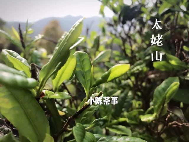 60b92cbb636b4a618d317bb7d35e593c.jpeg