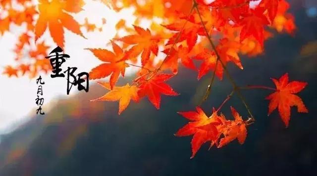 重阳节登高是一种传统活动 因为重阳节时值金秋 登高赏秋别有一种风情