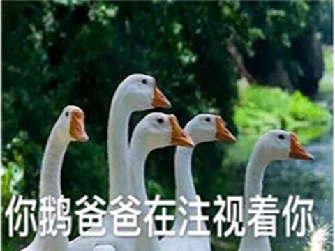 66c82e2d1f30417da65ad5ff5a6e9916.jpeg