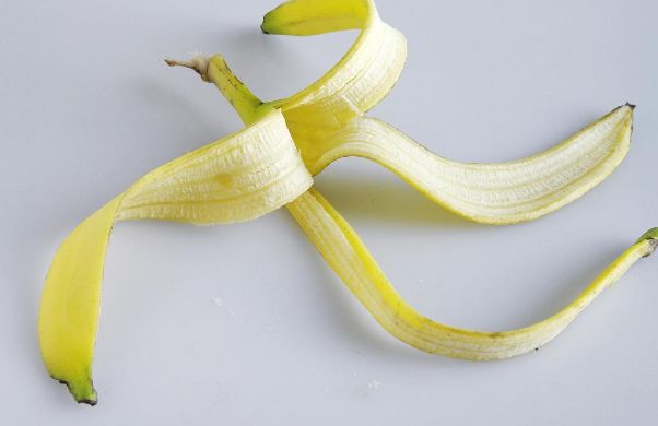 香蕉皮的用途介绍 69f984d1601345df97b4505a4a286968.jpeg