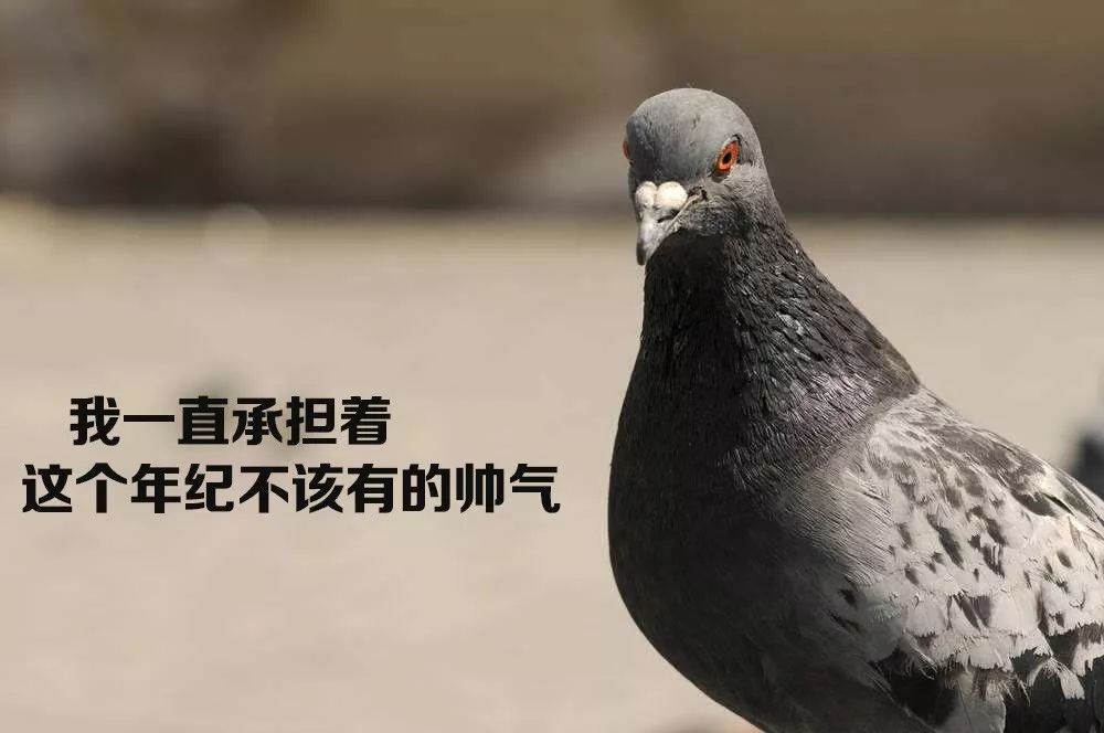 71fce943d97c4223929246bc1eb56a29.jpeg