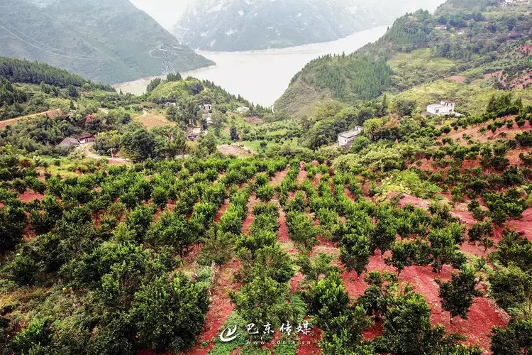 壮丽70年奋斗新时代巴东农村的嬗变